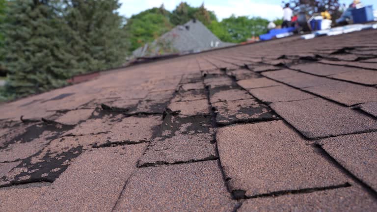 Best Slate Roofing  in Nth Plains, OR
